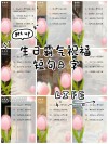 生日祝福语简短8字以内