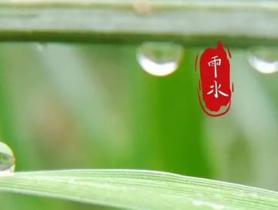  雨水节气短句很唯美 雨水节气优美文案