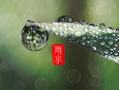  雨水节气朋友圈祝福语 雨水节气朋友圈短句