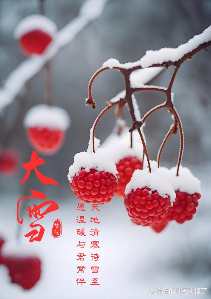 大雪祝福语大全简短 第3张