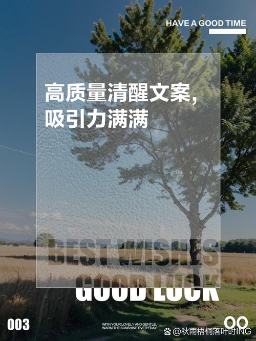 公司文案策划，如何让你的品牌形象更具吸引力？ 第2张