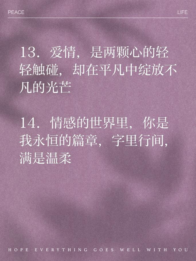 男女情感经典语录（感受爱情的美好，用经典语录传递情感） 第2张