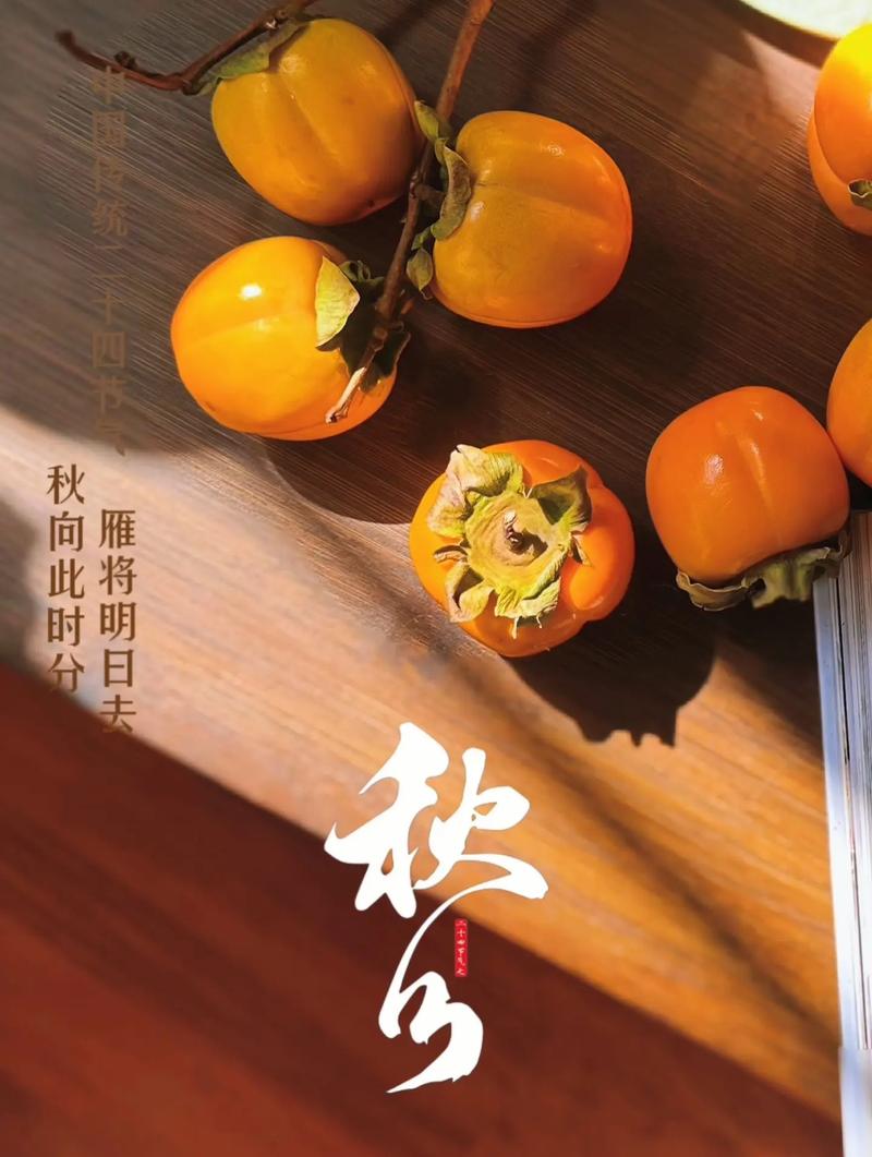 创意秋分伤感金句(90句) 第1张