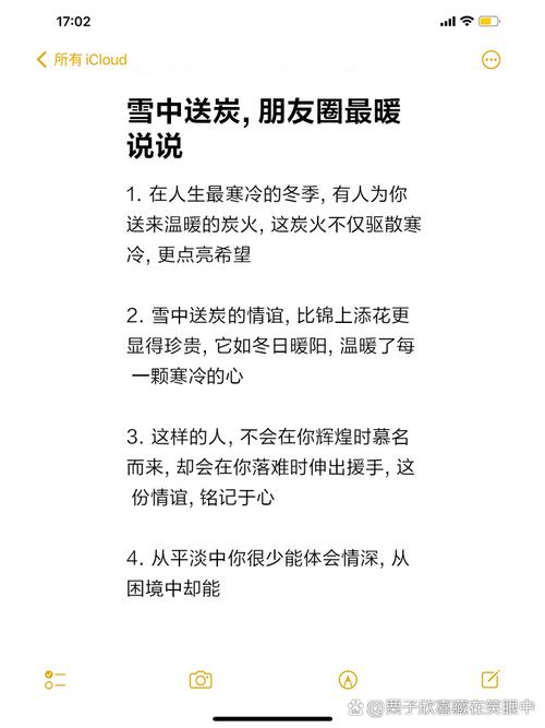 温暖冬日，送你一份雪中送炭的心意 第1张