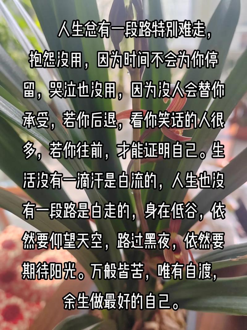 抱怨没有用教你如何提升自己，进入BAT等一线互联网公司做运营 第3张