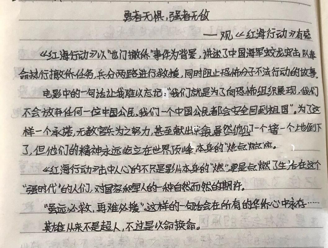 观影体验大揭秘红海行动观后感800字 第1张