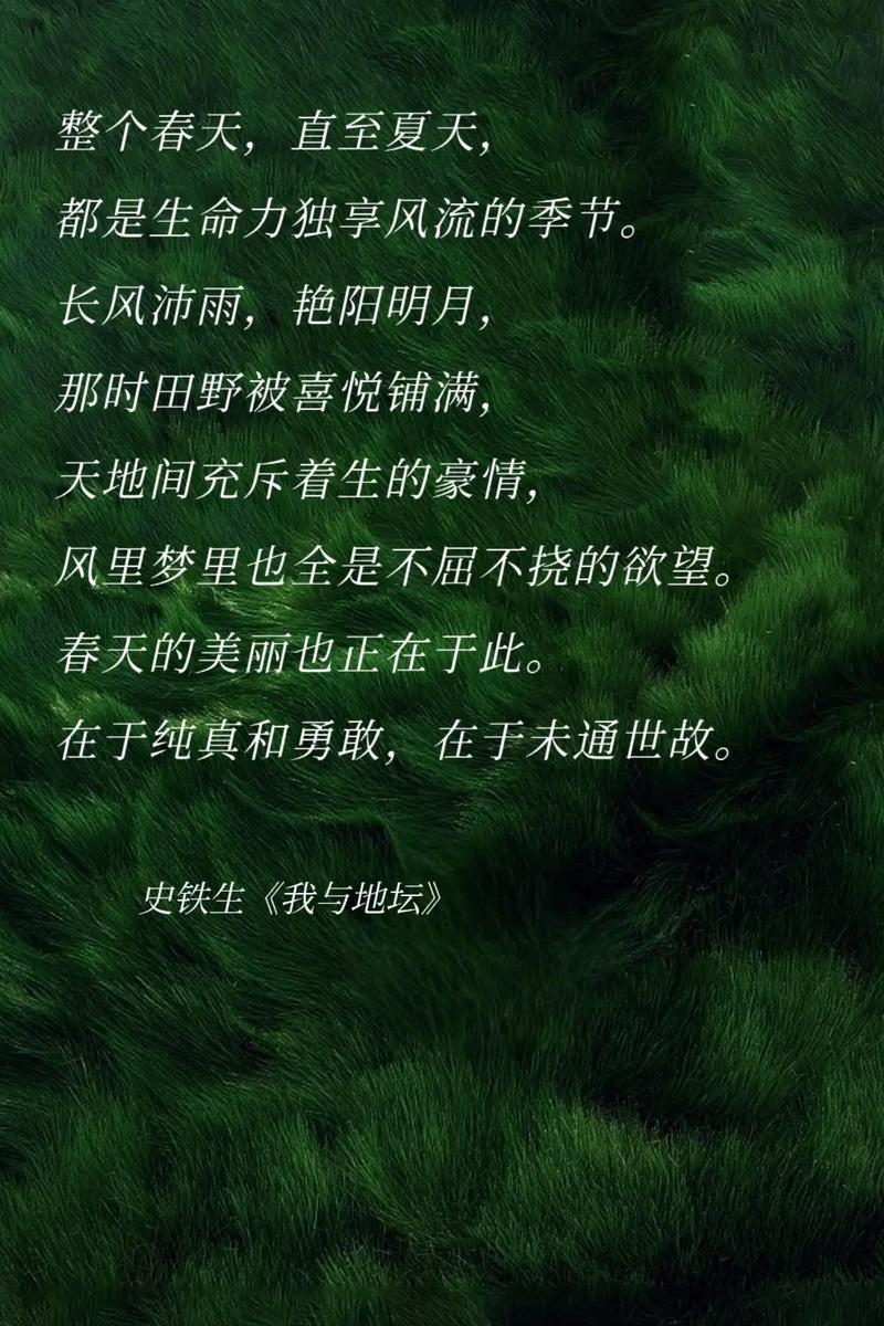 抖音关于景色的句子 第3张