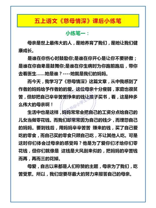 母子情深观后感感受到母爱的温暖和坚定 第3张