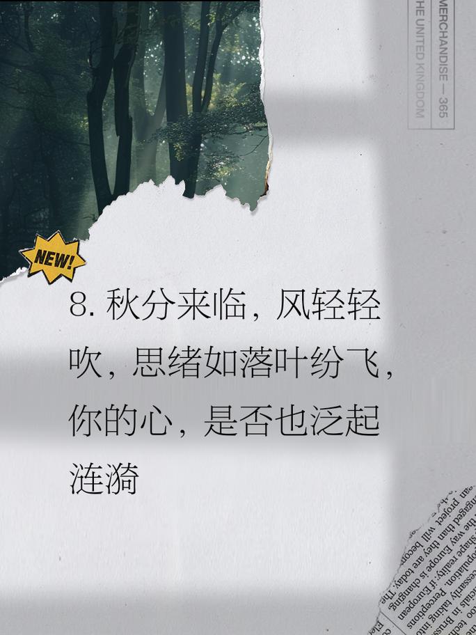 适合在秋分发的伤感说说 第1张