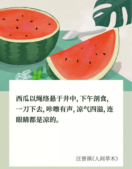 夏日文案创意分享如何让你的夏季营销更加出彩 第3张