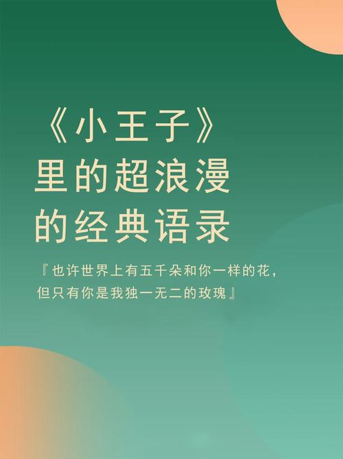 小王子的经典英文语录（用心聆听，感受生命的真谛） 第2张