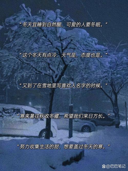 抖音上关于冬天的文案 第1张