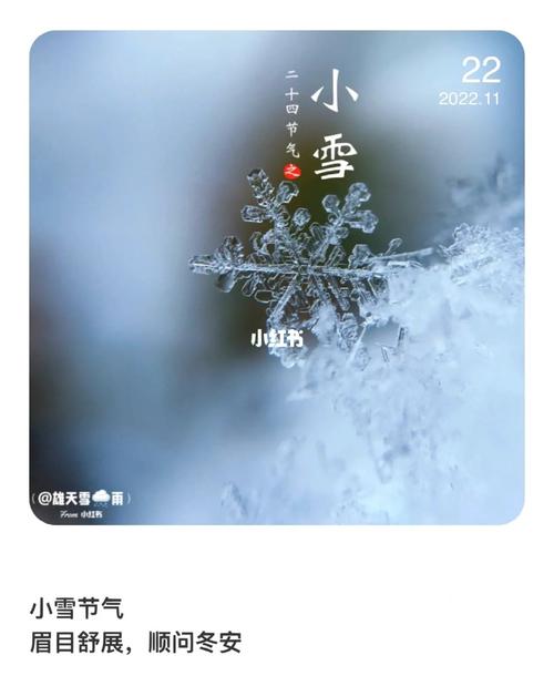 今日小雪说说心情短语 第3张