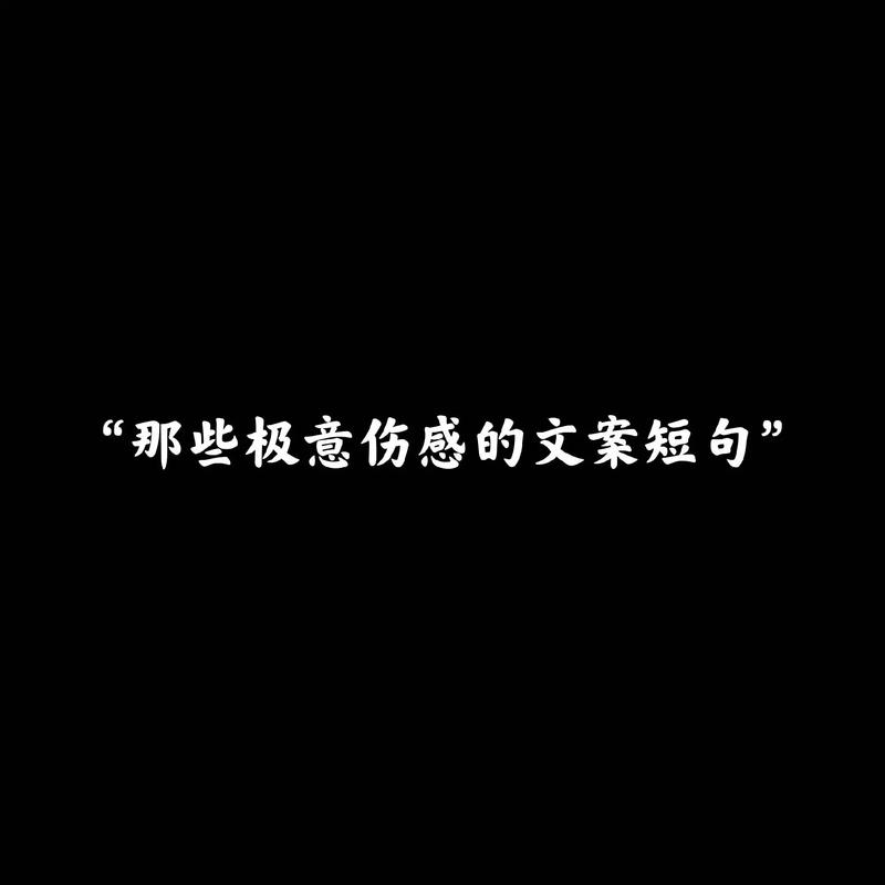 2022抖音热门悲伤文案 第3张