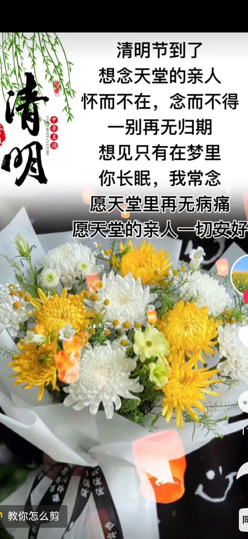 清明节思念故人的抖音文案 第2张