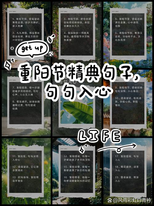 九九重阳节煽情祝福佳句(84句) 第2张