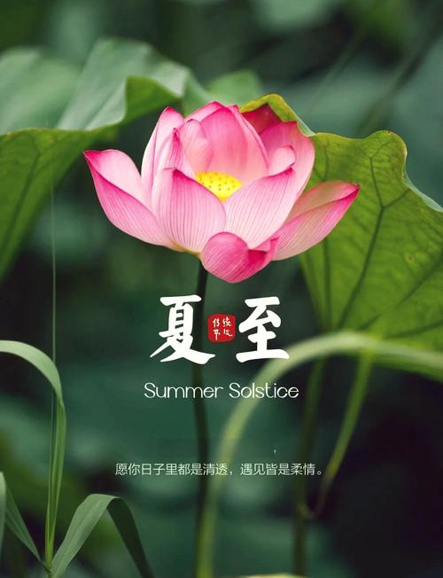 夏至文案短句干净（100句） 第2张