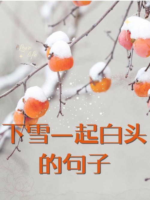 下雪了朋友圈幽默说说120句 第2张