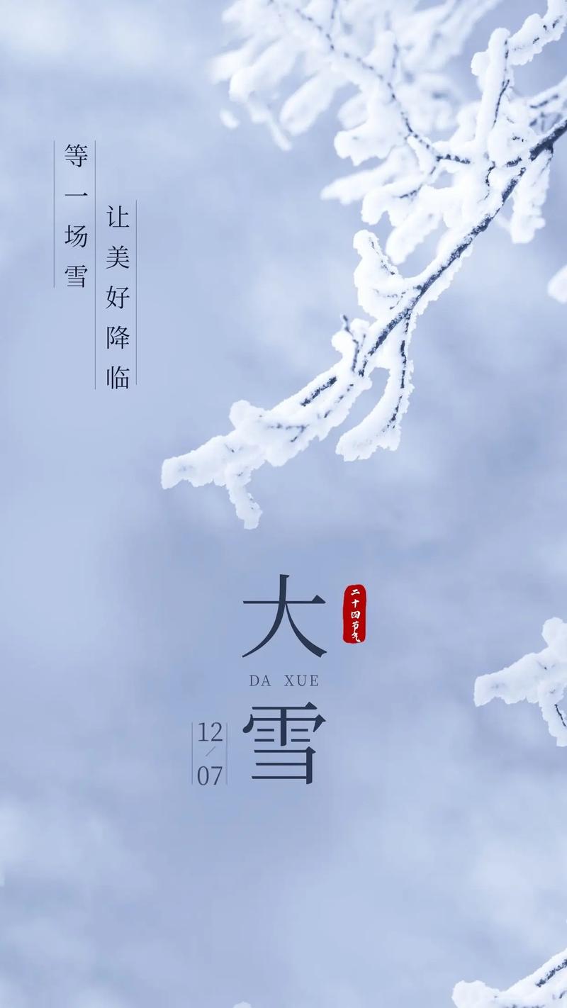 大雪节气的朋友圈优美句子文案130句 第1张