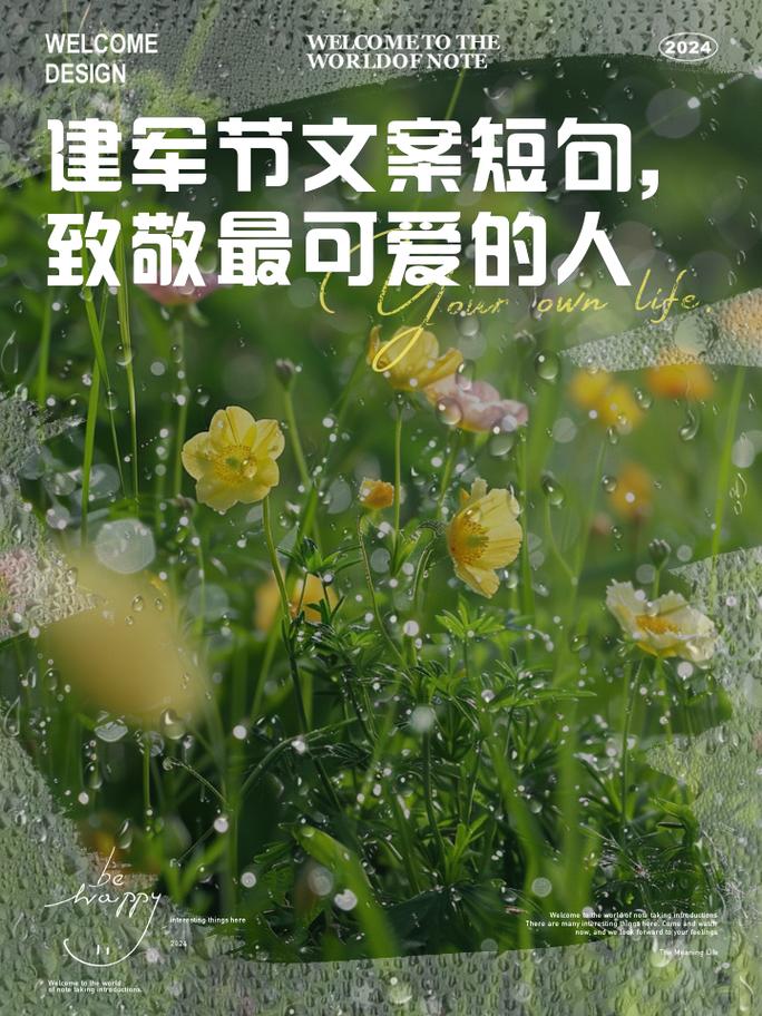 建军节95周年文案短句简短祝福210句 第3张