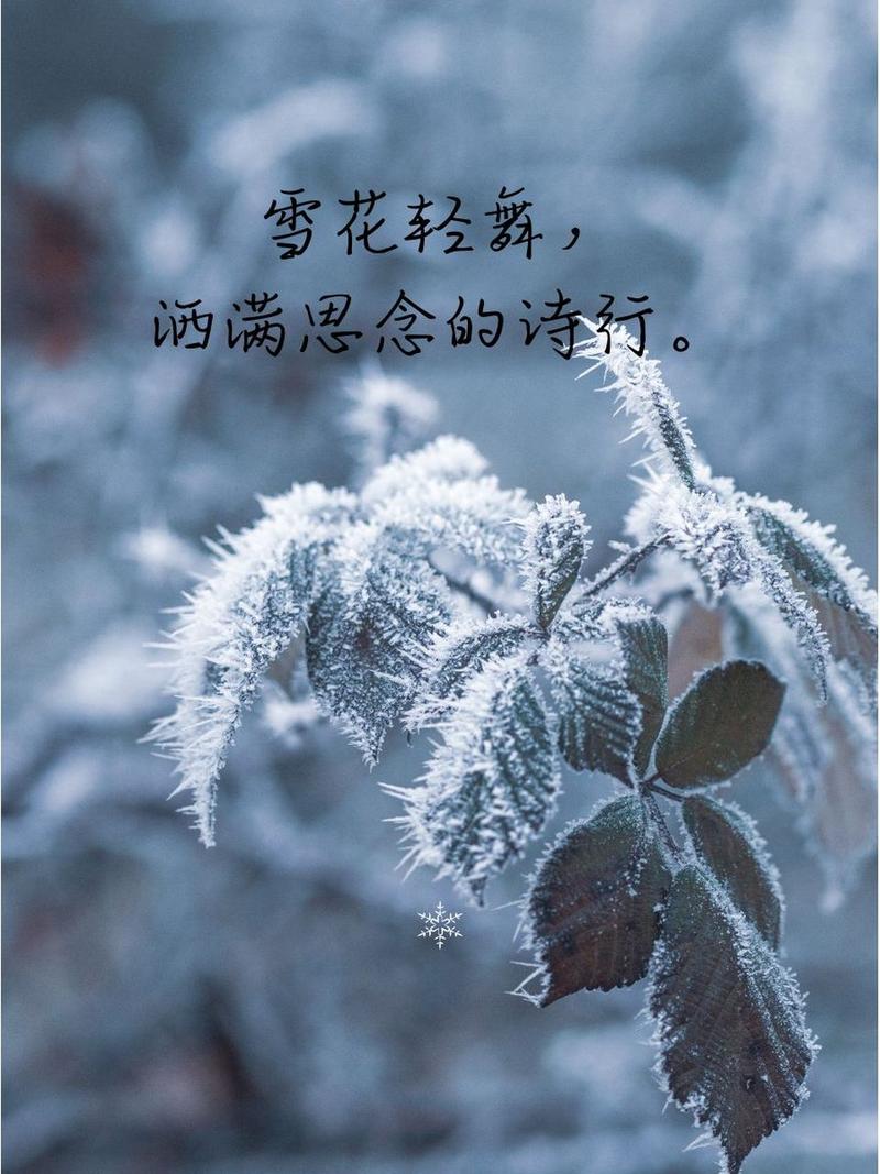 下雪文案简短唯美 第1张