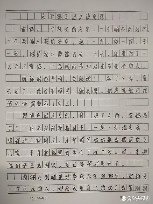 看雷锋的观后感600字 第1张