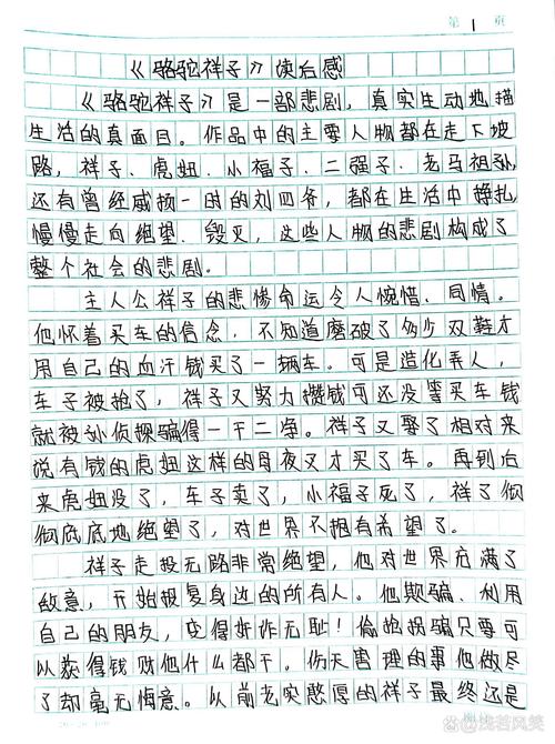 骆驼祥子观后感400字作文 第1张