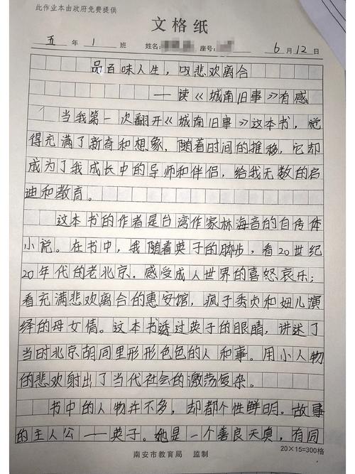 高一城南旧事观后感500字 第1张