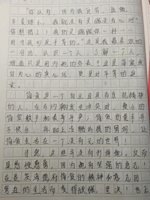 简爱第九章读后感400字 第2张