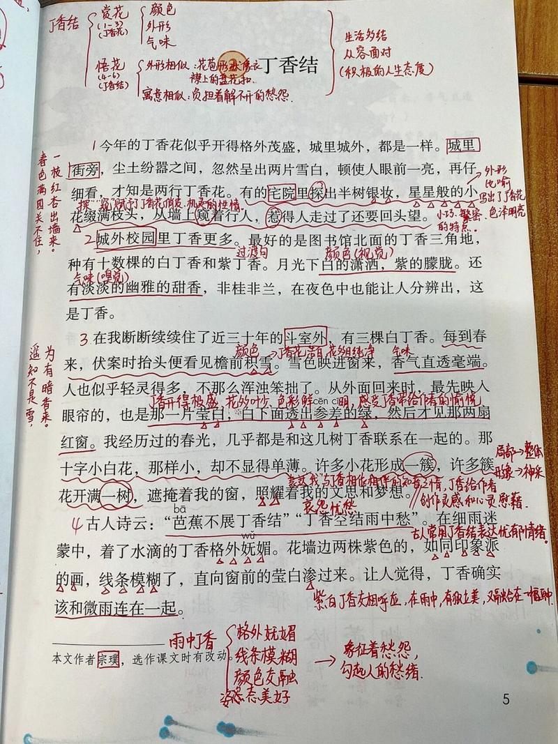 《丁香结》读后感500字 第3张