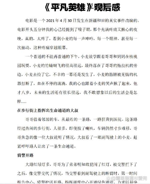 平凡英雄主要事迹 第2张