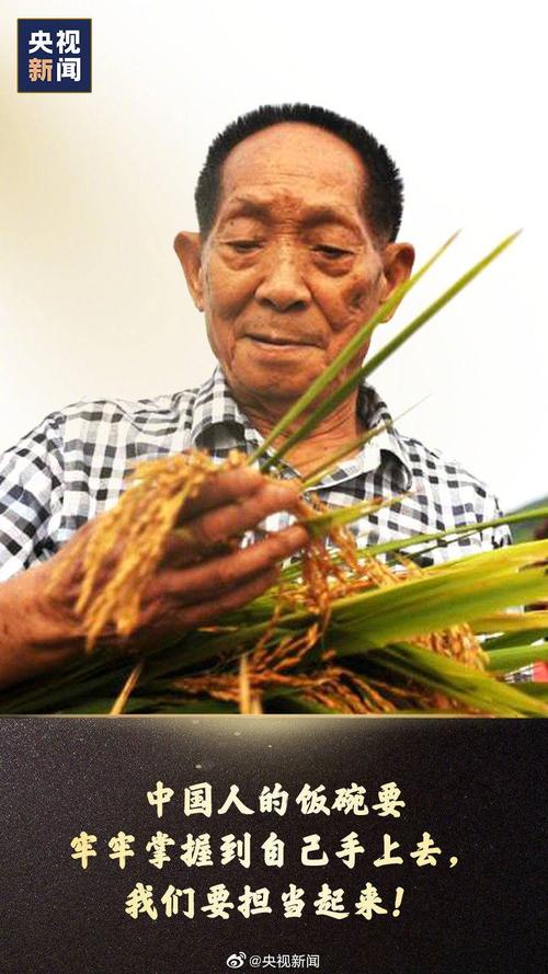 袁隆平爷爷的生平事迹13篇 第3张