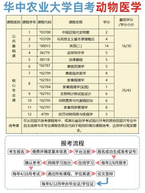 成人自考本科报考条件 第2张