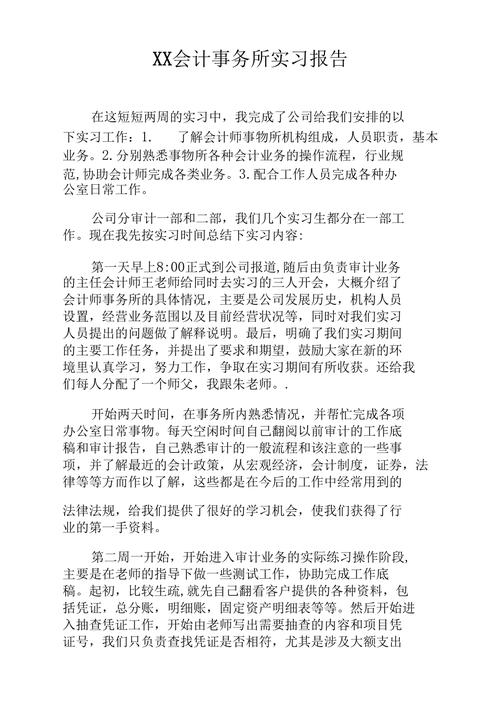 会计事务所的实习报告 第3张