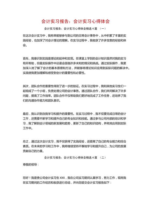 财务类个人实习报告 第1张