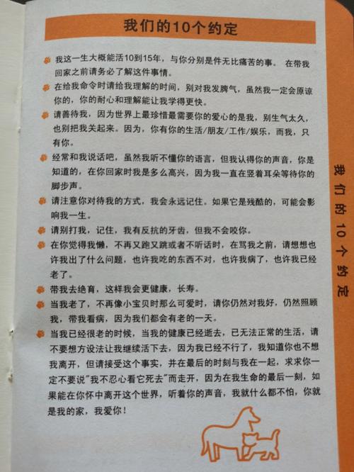 陪伴是最长情的告白，如何让你的爱情更持久？ 第1张