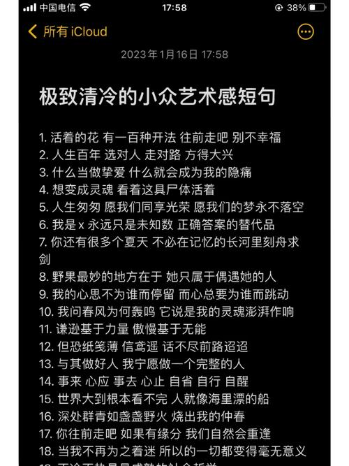 许星纯文案用文字打动人心的艺术 第2张