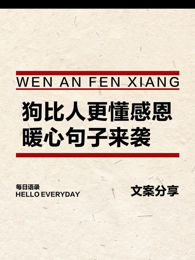 感恩，让我们更懂得珍惜，更懂得拥抱，更懂得爱——10个感恩时刻，让你更幸 第2张