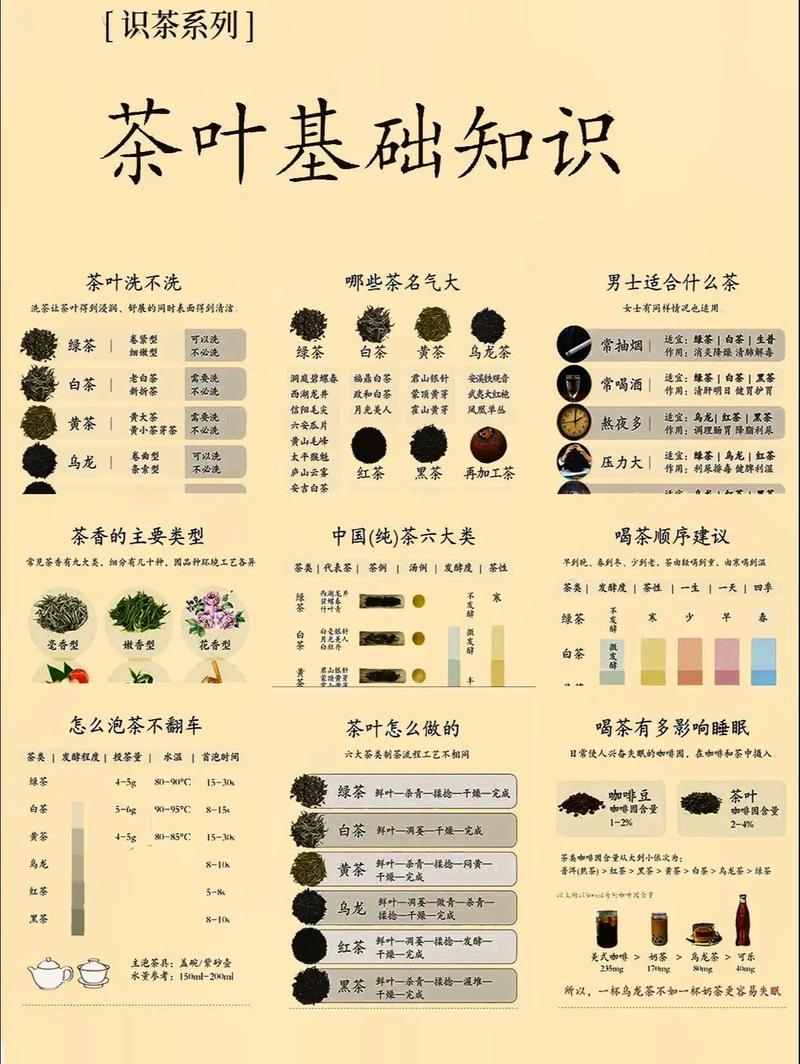 深入了解茶文化，掌握茶知识的精髓 第3张