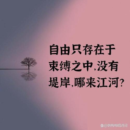 自由的力量让你摆脱束缚，成为自己的主人 第1张