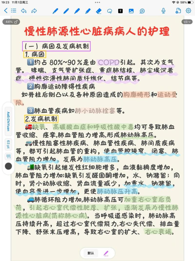 护士资格考试肺部损伤病人的护理 第3张