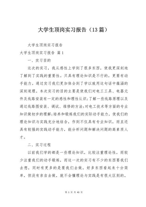 大学生毕业顶岗实习报告 第1张