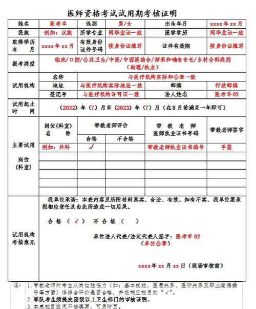 医师试用期个人报告 第1张