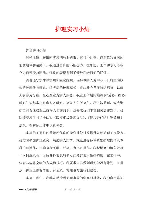 护理个人实习工作总结 第2张