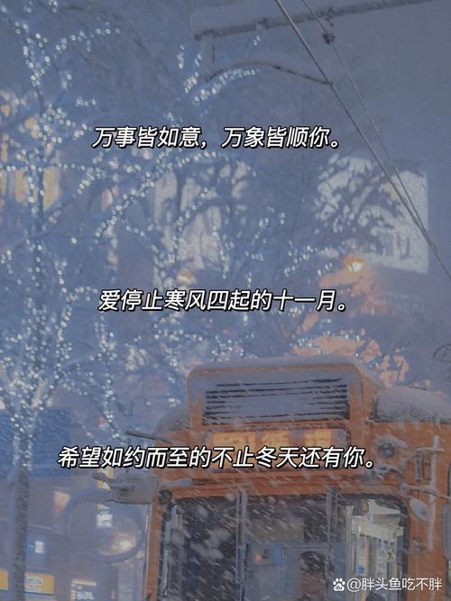 第一场雪文案分享（如何用文字唤起人们内心最柔软的情感） 第2张