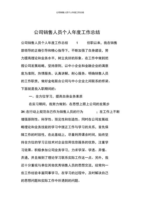 公司销售个人工作总结 第2张