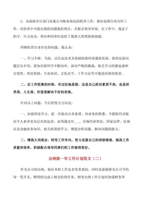 出纳新的工作计划 第3张