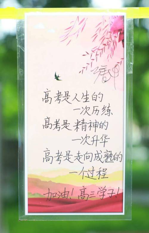 2021高考给师妹的祝福寄语 第2张