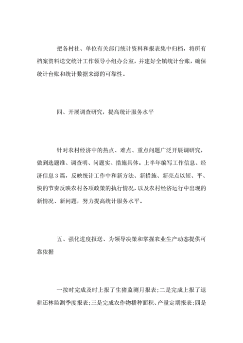 统计个人工作总结五篇范文 第3张