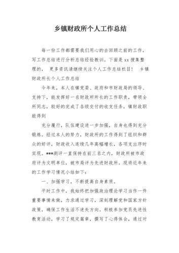 财政所个人工作总结 第2张